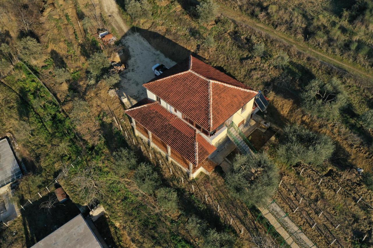 Guest House Pashollari 베라트 외부 사진